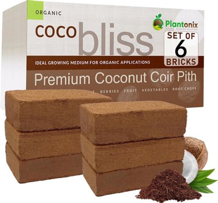 Coco Bliss Leak: The Rise and Impact of the Viral Sensation