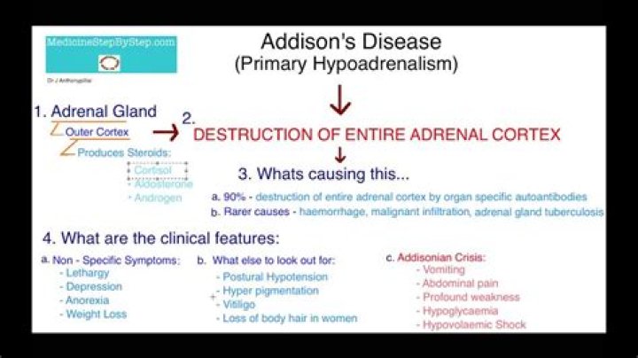 Understanding Addison O'Dea: A Rising Star in the Digital World