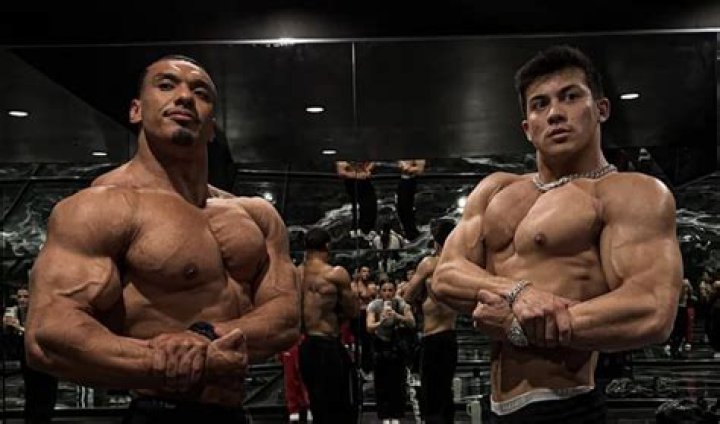 Understanding Shane Stoffer Height: A Comprehensive Insight